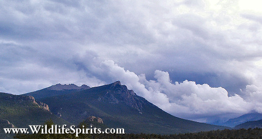 Click Picture to send as an  E-PostCard 51k 525x279